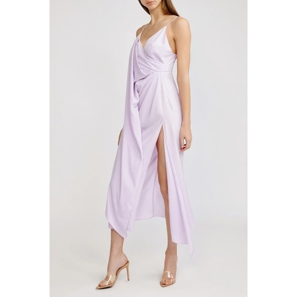 NWT Acler Hermitage Dress sz 6 - Picture 4 of 7